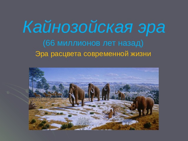 Кайнозойская эра (66 миллионов лет назад) Эра расцвета современной жизни 