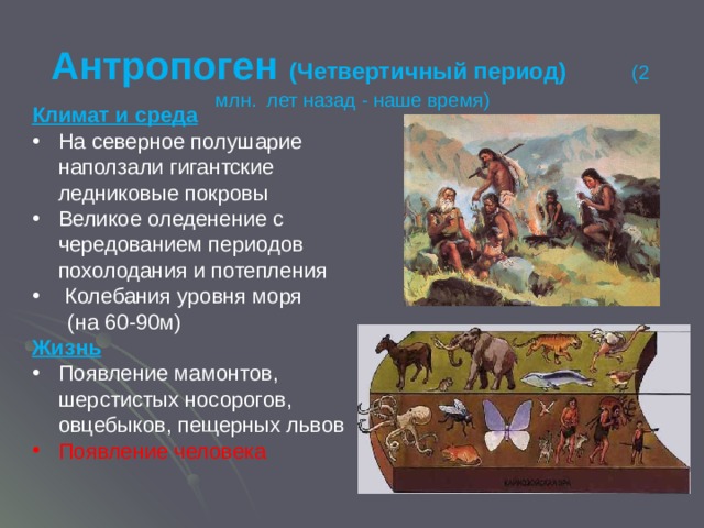 Антропоген (Четвертичный период) (2  млн.  лет назад - наше время)   Климат и среда На северное полушарие наползали гигантские ледниковые покровы Великое оледенение с чередованием периодов похолодания и потепления  Колебания уровня моря  (на 60-90м) Жизнь Появление мамонтов, шерстистых носорогов, овцебыков, пещерных львов Появление человека 