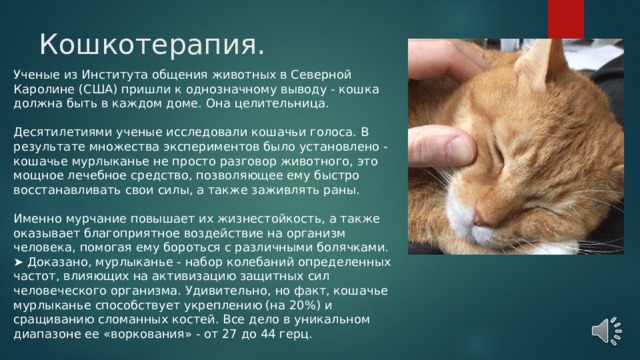 Кошкотерапия. Ученые из Института общения животных в Северной Каролине (США) пришли к однозначному выводу - кошка должна быть в каждом доме. Она целительница. Десятилетиями ученые исследовали кошачьи голоса. В результате множества экспериментов было установлено - кошачье мурлыканье не просто разговор животного, это мощное лечебное средство, позволяющее ему быстро восстанавливать свои силы, а также заживлять раны. Именно мурчание повышает их жизнестойкость, а также оказывает благоприятное воздействие на организм человека, помогая ему бороться с различными болячками. ➤ Доказано, мурлыканье - набор колебаний определенных частот, влияющих на активизацию защитных сил человеческого организма. Удивительно, но факт, кошачье мурлыканье способствует укреплению (на 20%) и сращиванию сломанных костей. Все дело в уникальном диапазоне ее «воркования» - от 27 до 44 герц. 