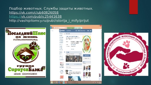 Подбор животных. Службы защиты животных.  https://vk.com/club60826058  https:// vk.com/public25441638   http://vashipitomcy.ru/publ/istorija_i_mify/prijut 