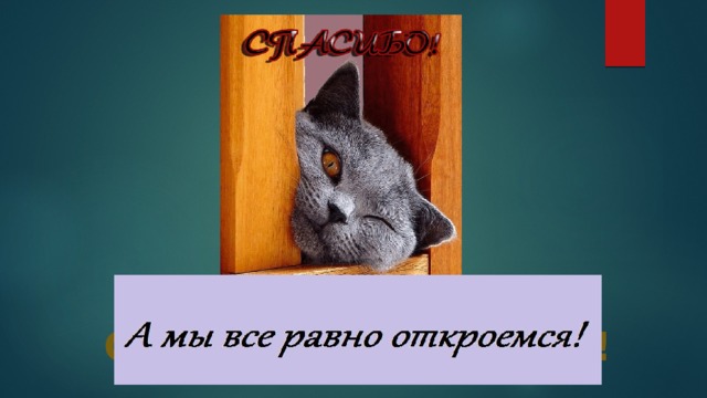 Спасибо за внимание! 