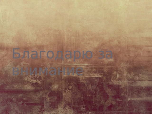 Благодарю за внимание 