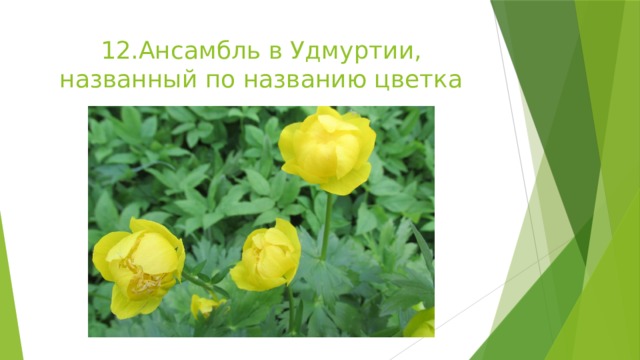 12.Ансамбль в Удмуртии, названный по названию цветка 