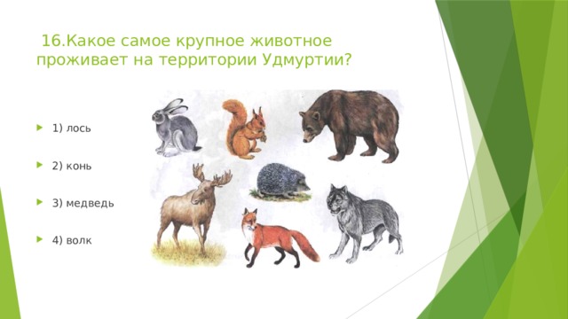  16.Какое самое крупное животное проживает на территории Удмуртии?   1) лось 2) конь 3) медведь 4) волк 