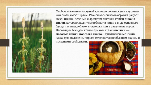 Особое значение в народной кухне по полезности и вкусовым качествам имеют травы. Ранней весной коми-пермяка радуют своей нежной зеленью и ароматом листья и стебли пикана — сныти , которую люди употребляют в пищу в виде основного блюда и в виде добавок в окрошку или в различные соусы. Настоящим брендом коми-пермяков стали пистики — молодые побеги полевого хвоща . Приготовленные из них каша, суп, пельмени, пироги отличаются необычным вкусом и полезными свойствами. 