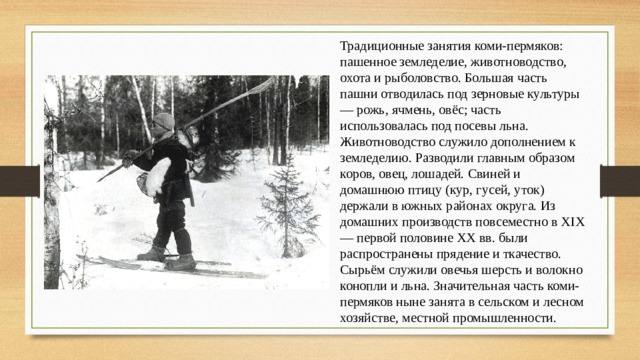 Традиционные занятия коми-пермяков: пашенное земледелие, животноводство, охота и рыболовство. Большая часть пашни отводилась под зерновые культуры — рожь, ячмень, овёс; часть использовалась под посевы льна. Животноводство служило дополнением к земледелию. Разводили главным образом коров, овец, лошадей. Свиней и домашнюю птицу (кур, гусей, уток) держали в южных районах округа. Из домашних производств повсеместно в XIX — первой половине XX вв. были распространены прядение и ткачество. Сырьём служили овечья шерсть и волокно конопли и льна. Значительная часть коми-пермяков ныне занята в сельском и лесном хозяйстве, местной промышленности. 