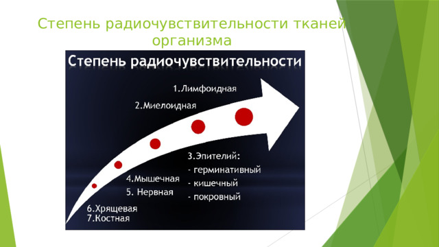 Степень радиочувствительности тканей организма 