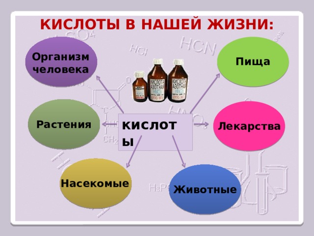 Кислоты в нашей жизни: Организм  человека Пища  кислоты Растения Лекарства  Насекомые  Животные  