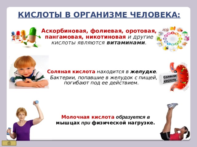 Кислоты в Организме человека: Аскорбиновая, фолиевая, оротовая, пангамовая, никотиновая  и другие кислоты являются витаминами . Соляная кислота  находится в желудке .  Бактерии, попавшие в желудок с пищей, погибают под ее действием. Молочная кислота образуется в мышцах при физической нагрузке. 