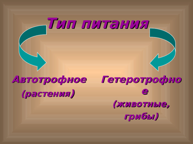Тип питания Автотрофное  (растения ) Гетеротрофное (животные, грибы) 