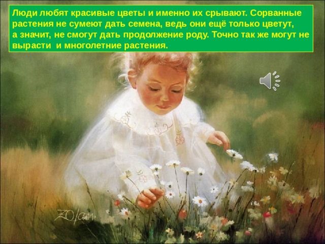 Люди любят красивые цветы и именно их срывают. Сорванные растения не сумеют дать семена, ведь они ещё только цветут, а значит, не смогут дать продолжение роду. Точно так же могут не вырасти и многолетние растения. 