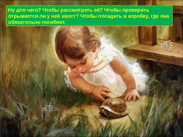Ну для чего? Чтобы рассмотреть её? Чтобы проверить отрывается ли у неё хвост? Чтобы посадить в коробку, где она обязательно погибнет. 