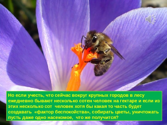 Но если учесть, что сейчас вокруг крупных городов в лесу ежедневно бывают несколько сотен человек на гектаре и если из этих несколько сот человек хотя бы какая то часть будет создавать «фактор беспокойства», собирать цветы, уничтожать пусть даже одно насекомое, что же получится? 