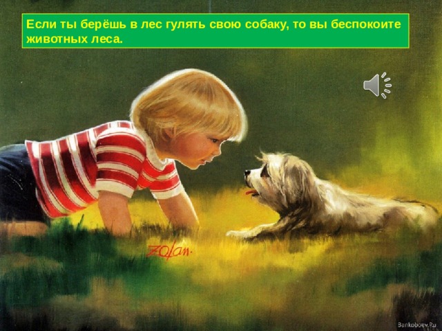 Если ты берёшь в лес гулять свою собаку, то вы беспокоите животных леса. 