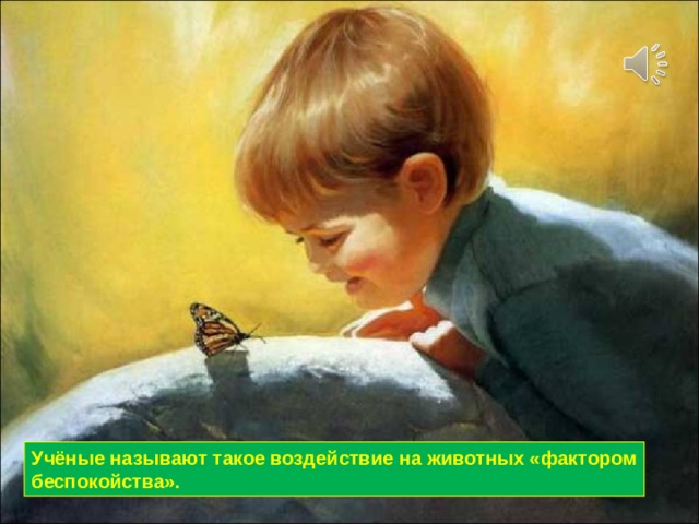 Учёные называют такое воздействие на животных «фактором беспокойства». 