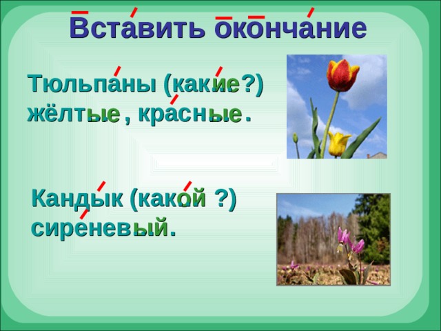 Вставить окончание ие Тюльпаны (как… ?) жёлт… , красн… . ые  ые  ой Кандык (как… ?) сиренев… . ый  