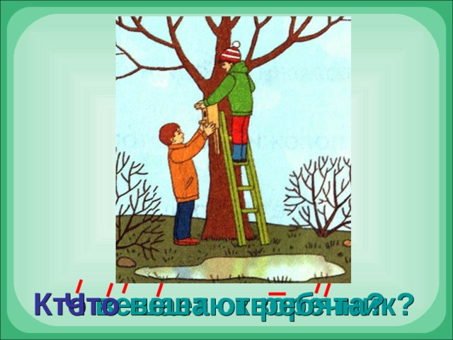 Кто  вешает скворечник? Что  вешают ребята? 