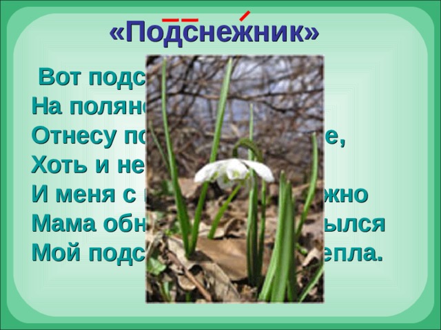 «Подснежник»  Вот подснежник! На поляне я его нашёл. Отнесу подснежник маме, Хоть и не расцвёл. И меня с цветком так нежно Мама обняла, что раскрылся Мой подснежник от её тепла. 
