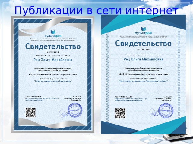 Публикации в сети интернет 