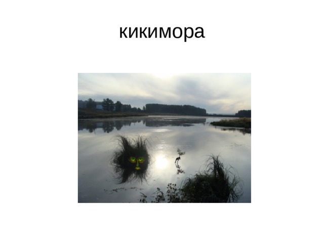 кикимора 