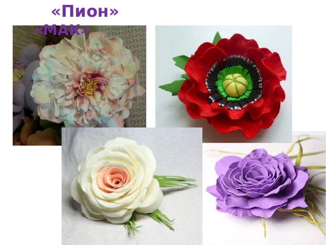  «Пион» «МАК»  «Роза» 