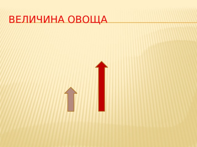 Величина овоща 