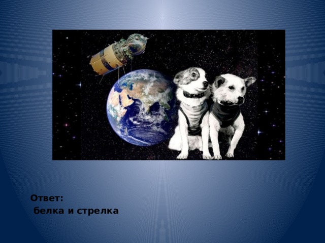 Ответ:  белка и стрелка 