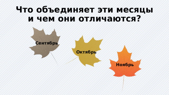 Что объединяет эти месяцы и чем они отличаются? Сентябрь Октябрь Ноябрь 