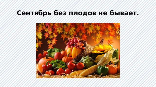 Сентябрь без плодов не бывает. 