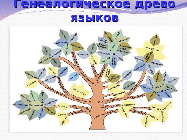Генеалогическое древо языков 