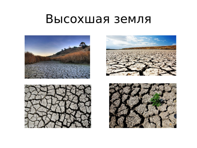 Высохшая земля 