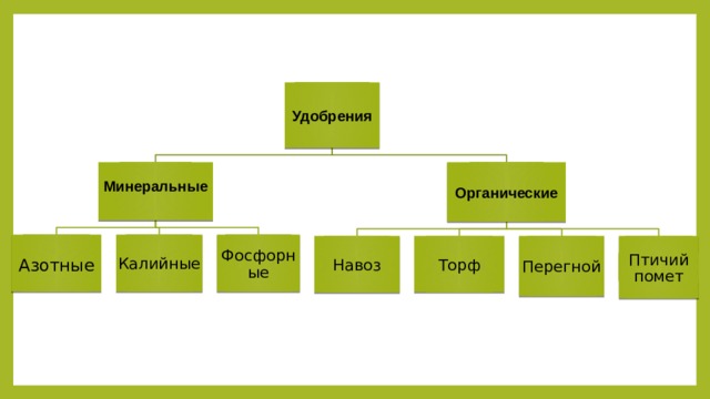 Удобрения Минеральные Органические   Азотные Калийные Фосфорные Навоз Торф Перегной Птичий помет 
