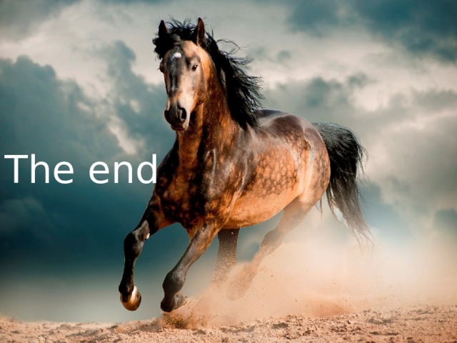 The end 