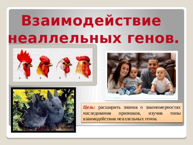 Взаимодействие неаллельных генов. Цель: расширить знания о закономерностях наследования признаков, изучив типы взаимодействия неаллельных генов. 