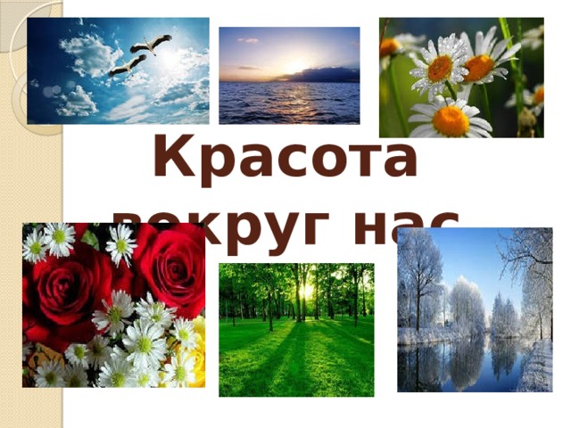 Красота вокруг нас 