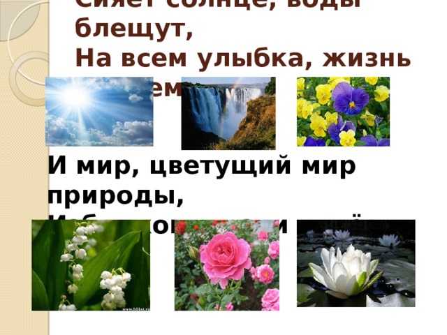 Сияет солнце, воды блещут,  На всем улыбка, жизнь во всем И мир, цветущий мир природы,  Избытком жизни упоён. 