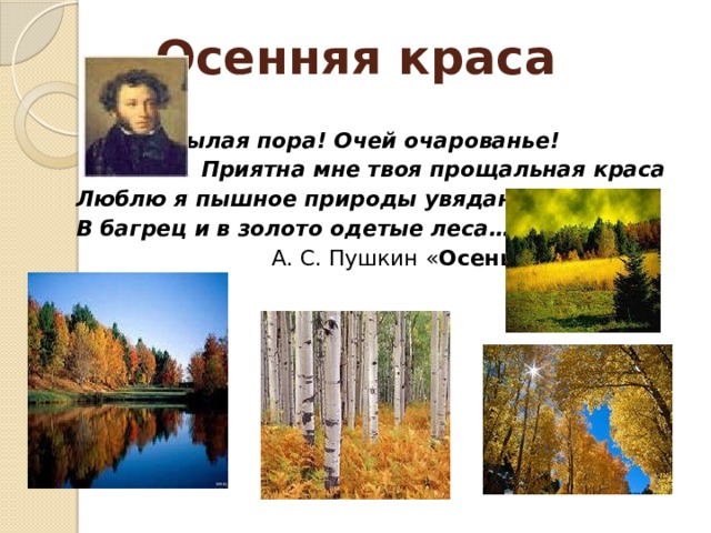 Осенняя краса   Унылая пора! Очей очарованье!  Приятна мне твоя прощальная краса Люблю я пышное природы увяданье, В багрец и в золото одетые леса…  А. С. Пушкин « Осень »     