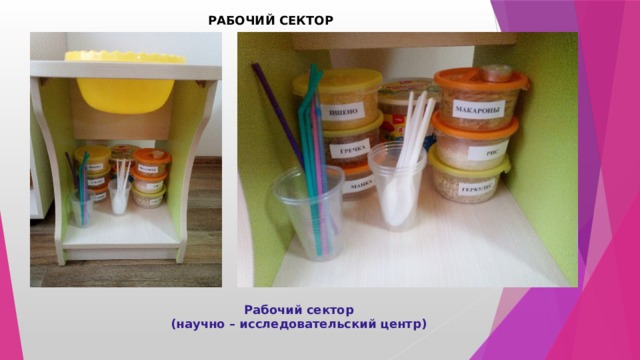 РАБОЧИЙ СЕКТОР   Рабочий сектор   (научно – исследовательский центр) 