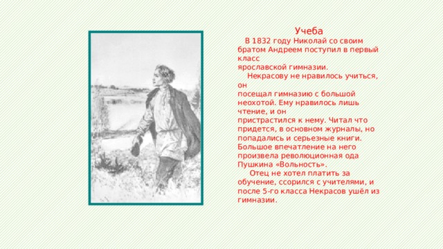 Учеба  В 1832 году Николай со своим братом Андреем поступил в первый класс ярославской гимназии.  Некрасову не нравилось учиться, он посещал гимназию с большой неохотой. Ему нравилось лишь чтение, и он пристрастился к нему. Читал что придется, в основном журналы, но попадались и серьезные книги. Большое впечатление на него произвела революционная ода Пушкина «Вольность».  Отец не хотел платить за обучение, ссорился с учителями, и после 5-го класса Некрасов ушёл из гимназии. 