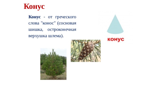 Конус Конус - от греческого слова 