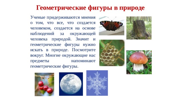 Геометрические фигуры в природе Ученые придерживаются мнения о том, что все, что создается человеком, создается на основе наблюдений за окружающей человека природой. Значит и геометрические фигуры нужно искать в природе. Посмотрите вокруг. Многие окружающие нас предметы напоминают геометрические фигуры. 