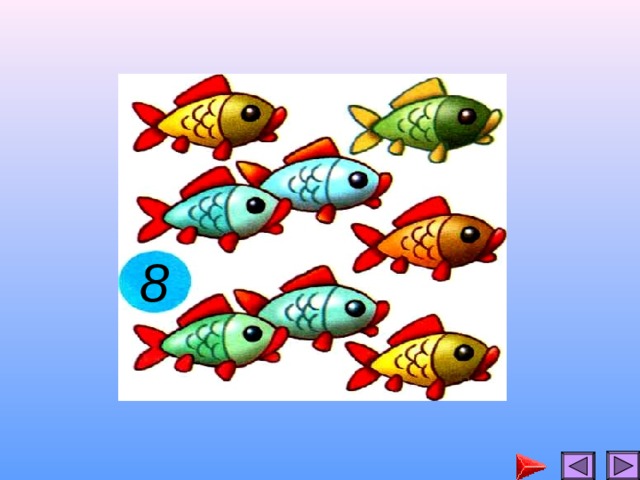 8 