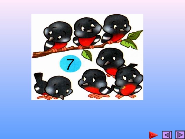 7 