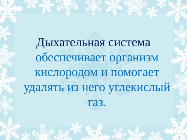 Дыхательная система обеспечивает организм кислородом и помогает удалять из него углекислый газ. 