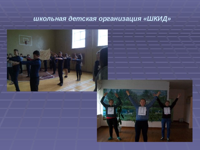 школьная детская организация «ШКИД» 