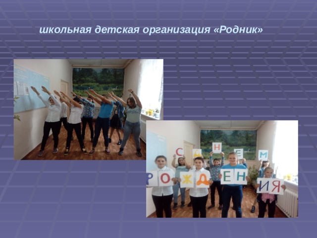 школьная детская организация «Родник» 