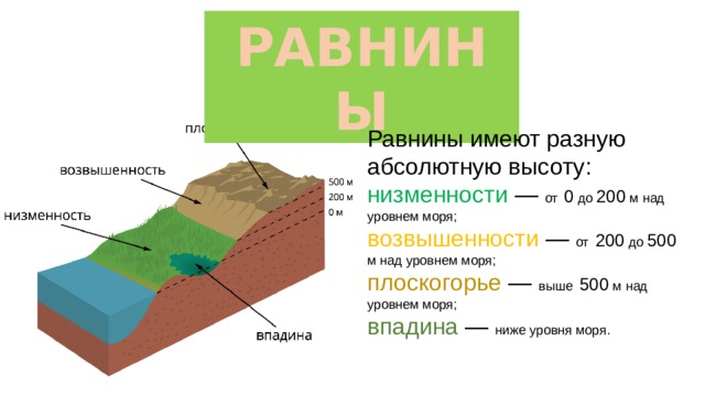 РАВНИНЫ Равнины имеют разную абсолютную высоту: низменности —  от  0 до 200 м над уровнем моря; возвышенности —  от  200 до 500 м над уровнем моря; плоскогорье —  выше  500 м над уровнем моря; впадина — ниже уровня моря. 