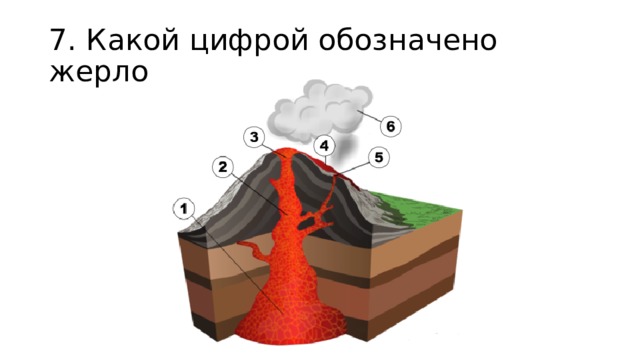 7. Какой цифрой обозначено жерло 