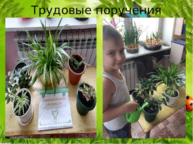 Трудовые поручения 