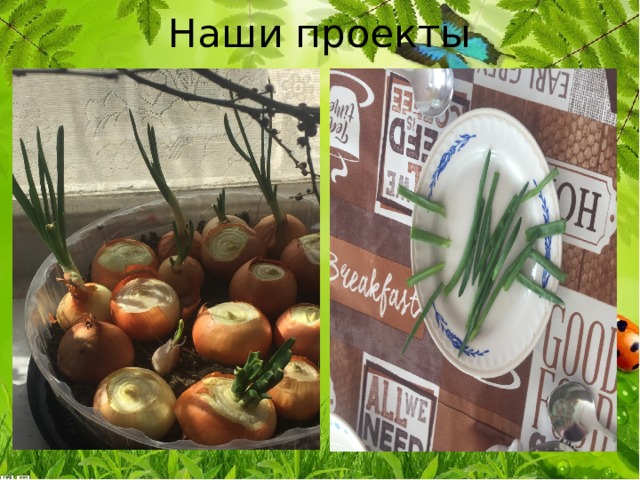 Наши проекты 